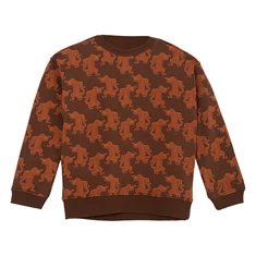 Ammehoela jongens sweater AM-Rocky-36 bruin
