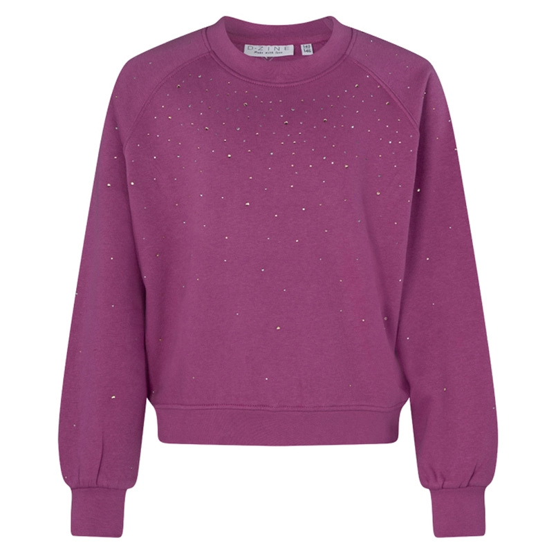 D-zine meisjes sweater strass