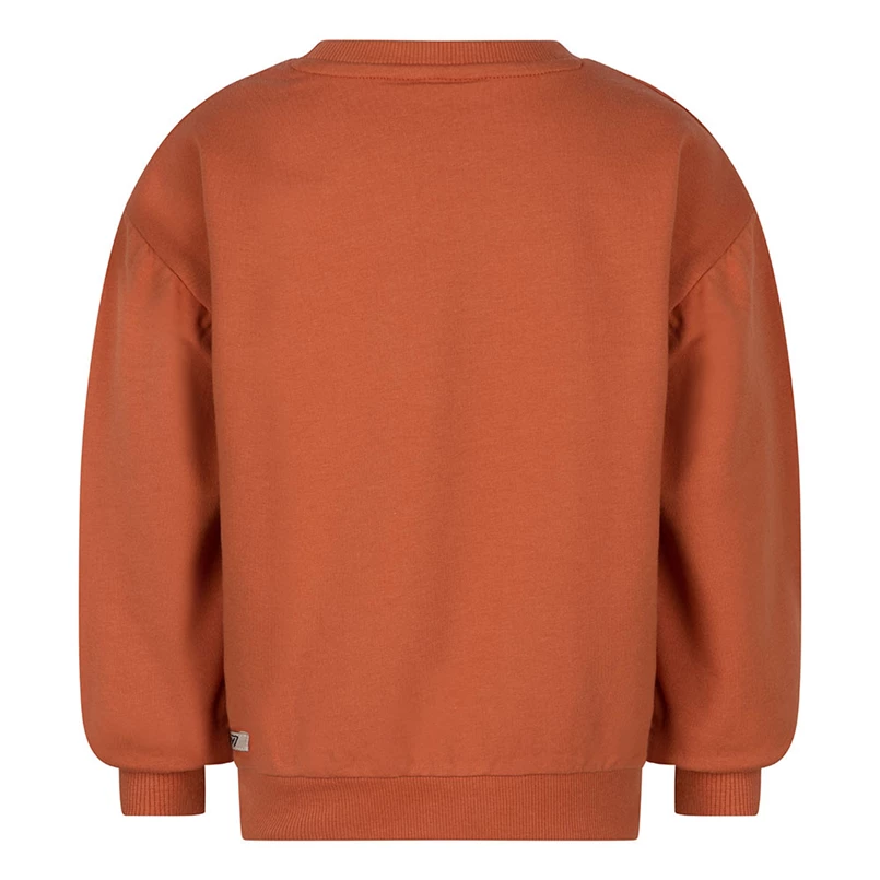 Daily7 meisjes sweater D7G-W22-4007 bruin
