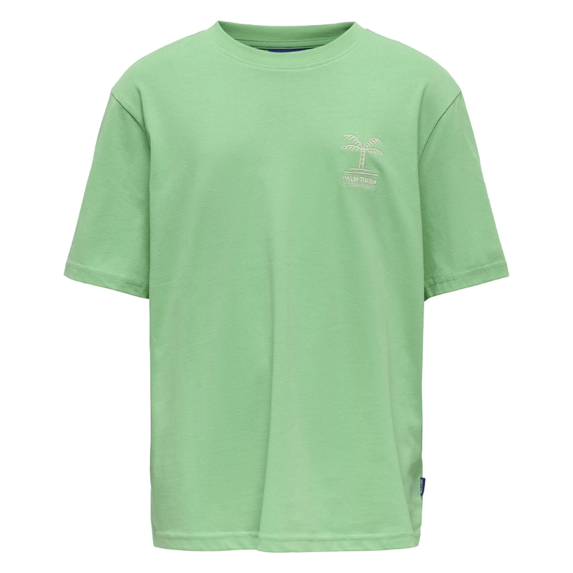 ONLY & SONS jongens t-shirt