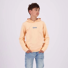 Raizzed jongens hoodie