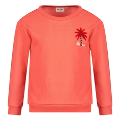 Sturdy jongens sweater Happy Rio