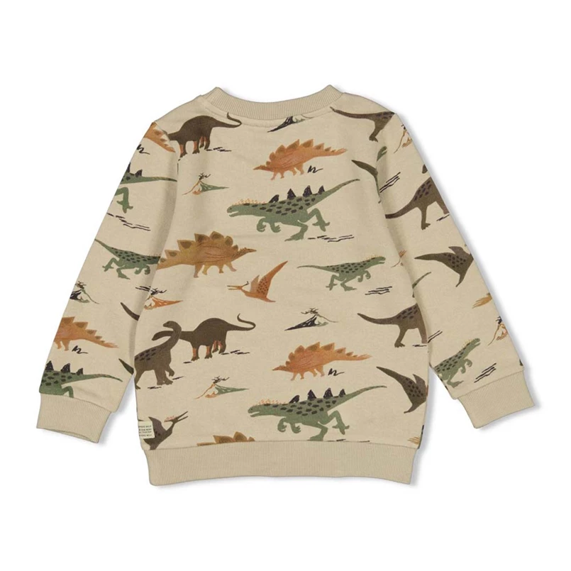 Sturdy jongens sweater-He Ho Dino