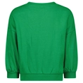 The New Chapter sweater Benja