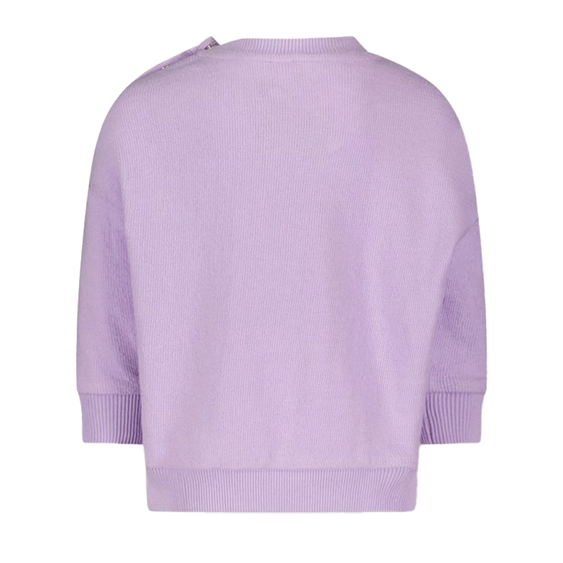 The New Chapter sweater Benji