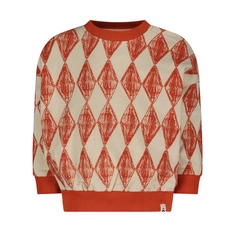 The New Chapter sweater Micha