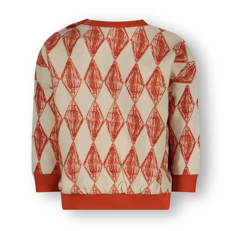 The New Chapter sweater Micha