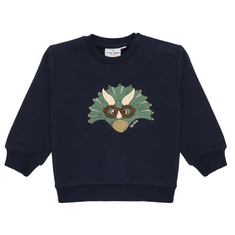 The New Siblings jongens sweater