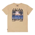Tumble 'N Dry jongens t-shirt Palm Bay