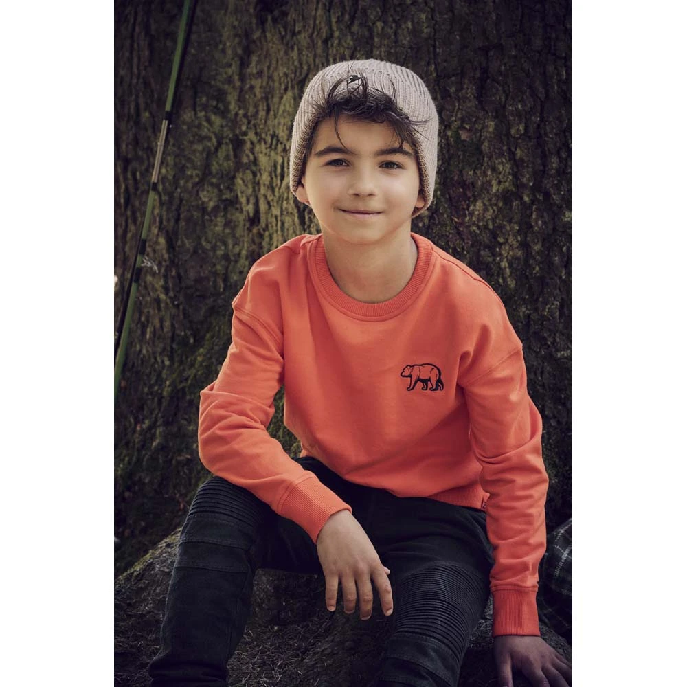 Z8 jongens sweater Brando