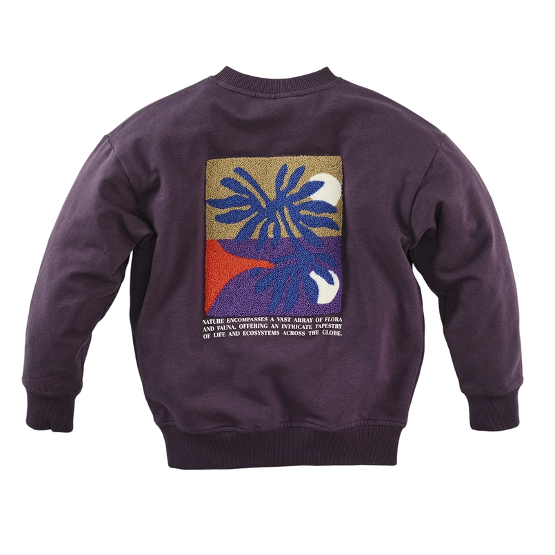 Z8 jongens sweater Sylvan